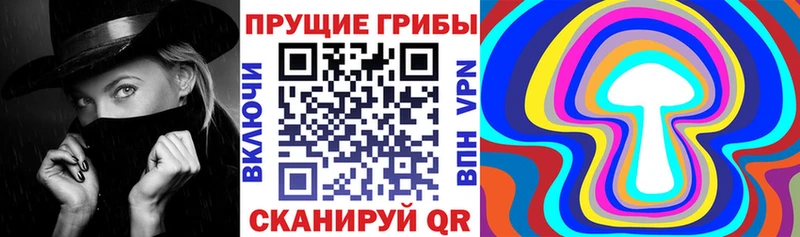 закладки Нюрба Галлюциногенные грибы мухоморы